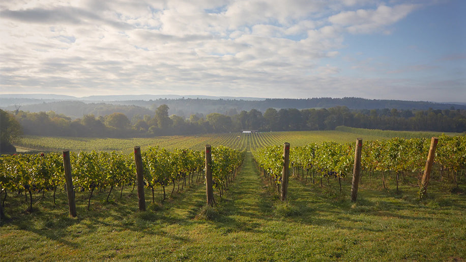 Perfect Pairings For Christmas Experience