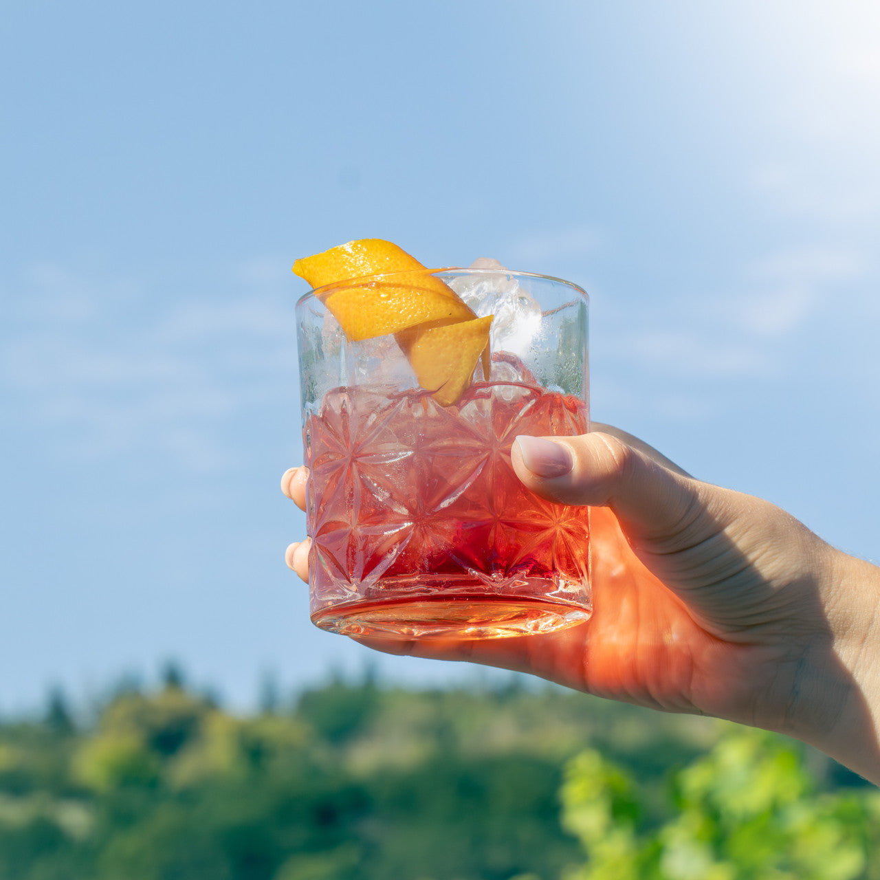 Perfect Pairings: Negroni Experience