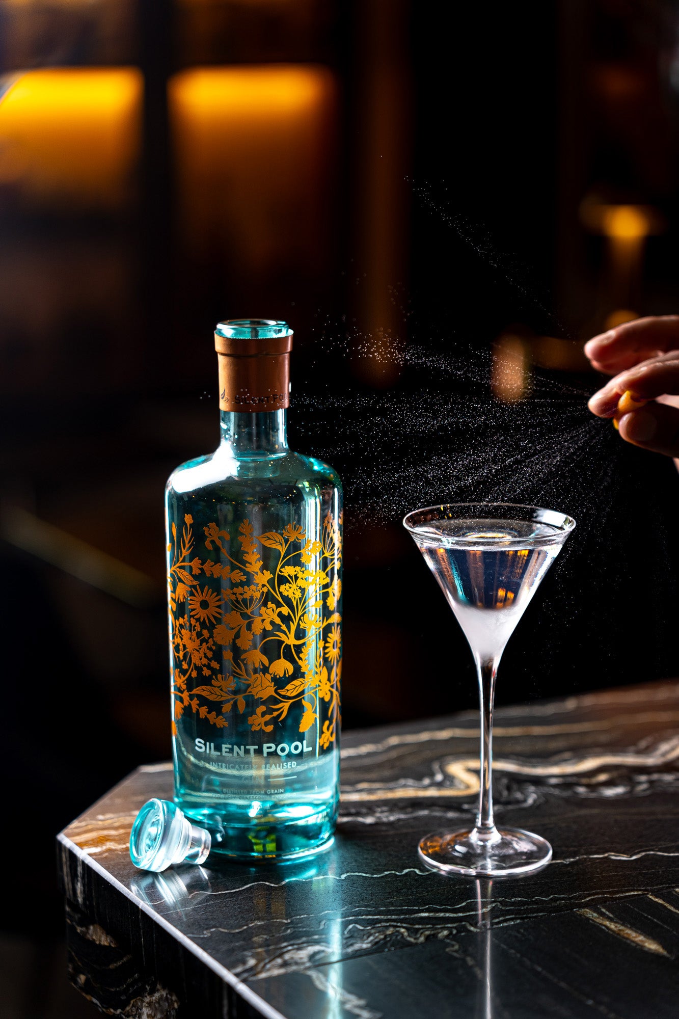 The Silent Pool Gin Martini Masterclass