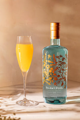 Sundrop Mimosa