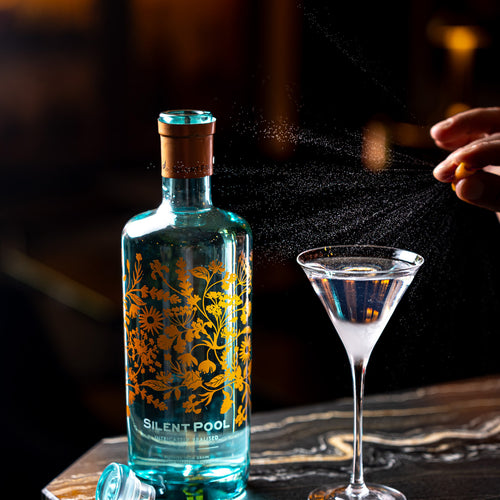 The Silent Pool Gin Martini Masterclass