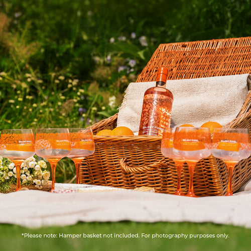 Rare Citrus Gin Summer Offer
