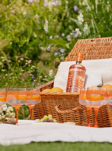 Rare Citrus Gin Summer Offer