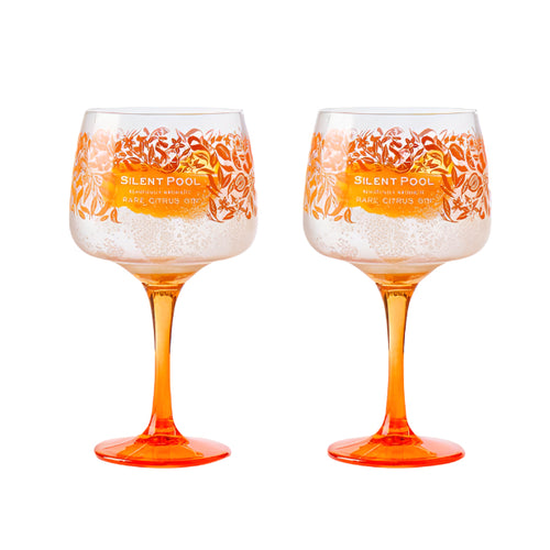 Rare Citrus Copa Gin Glass Set of 2