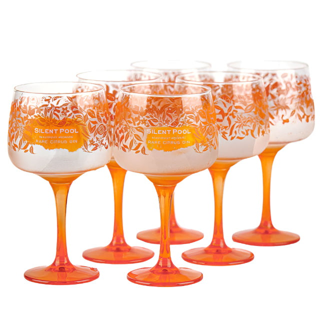 Rare Citrus Copa Gin Glass Set of 6